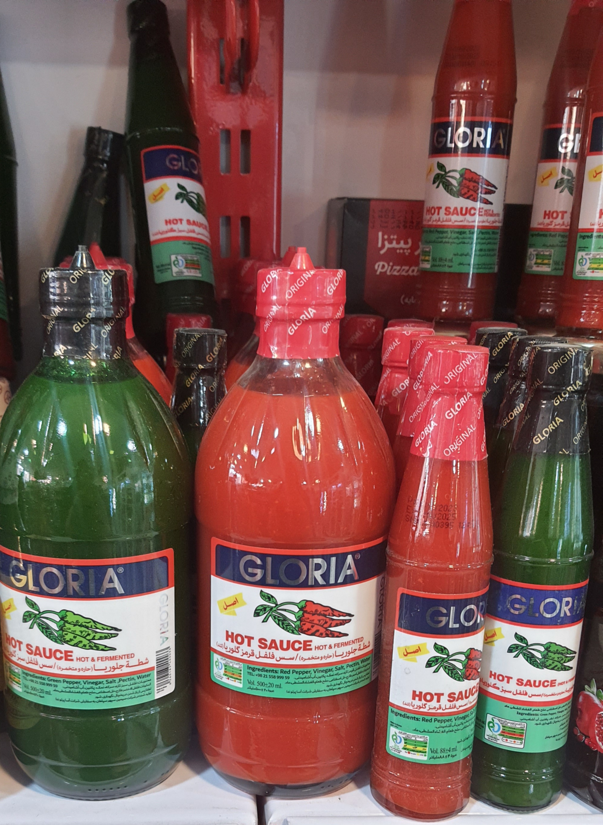 سس فلفل گلوریا