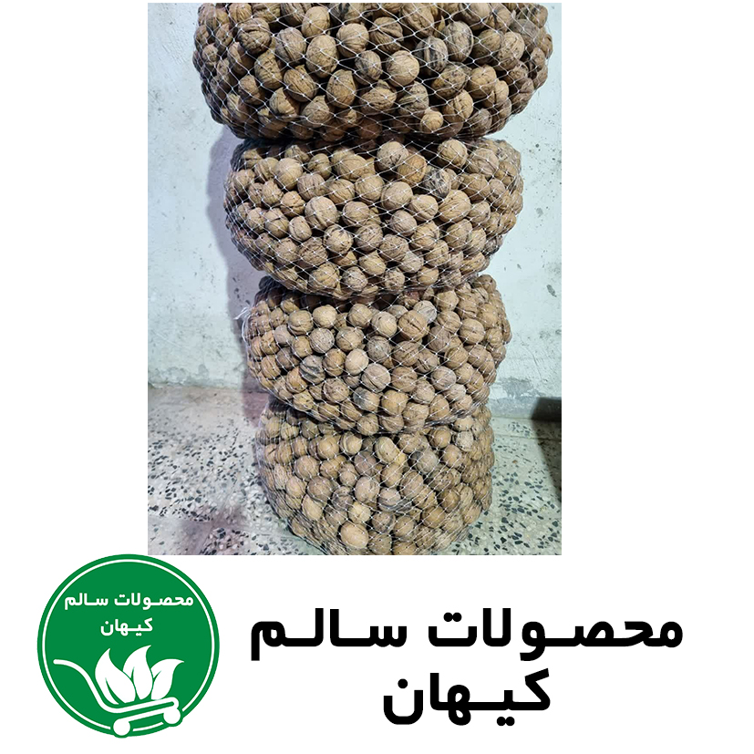 گردو اعلاء همدان