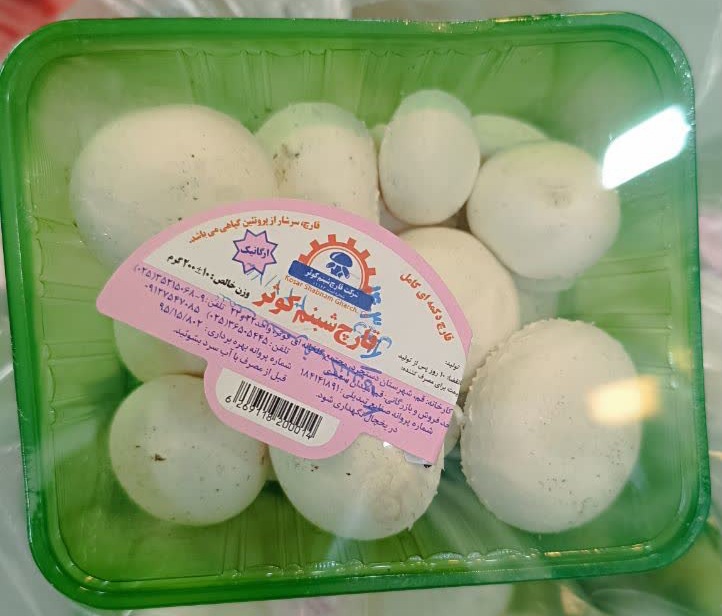 قارچ بسته بندی شبنم کوثر