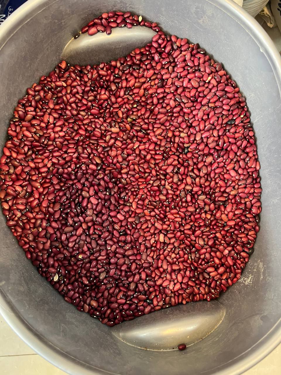 لوبیا قرمز کیلویی