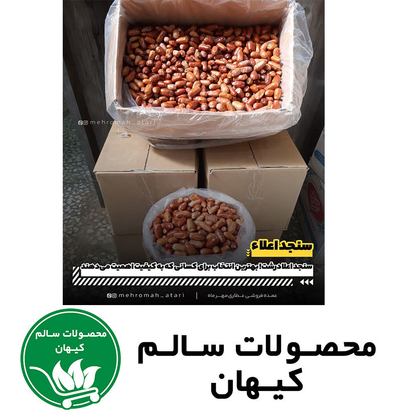 سنجد گوشتی اعلا