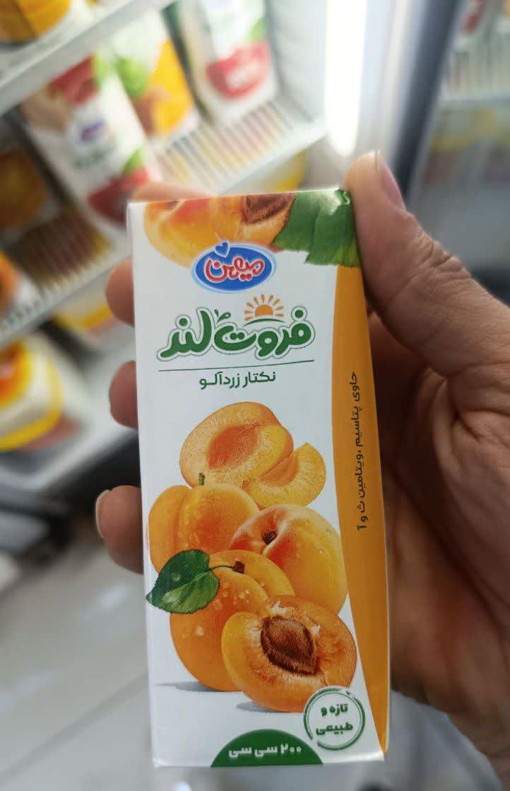 نکتار زردآلو فروت لند میهن کوچک