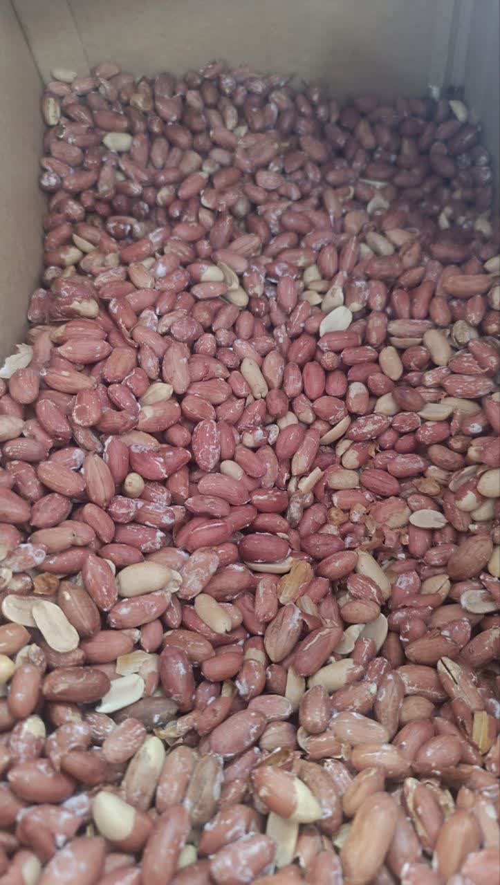 مغز برشته بادام زمینی بار لوکس بادام