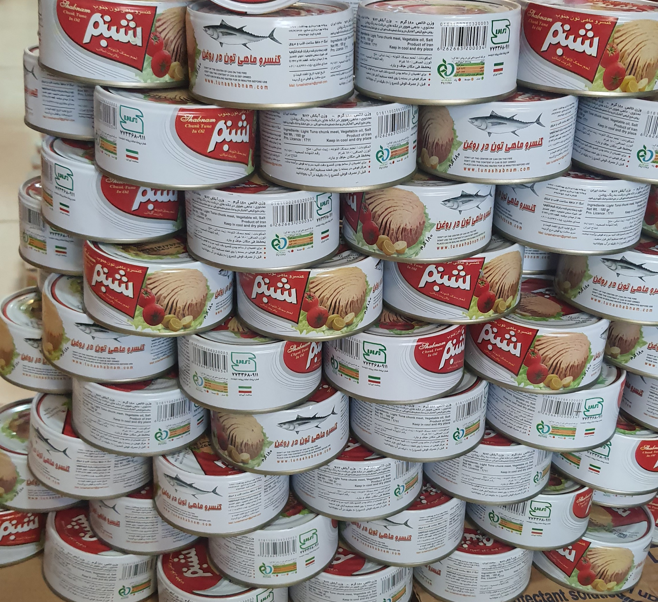 تن ماهی شبنم